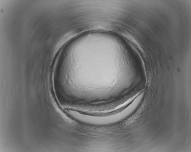 X0000062800991200601121336