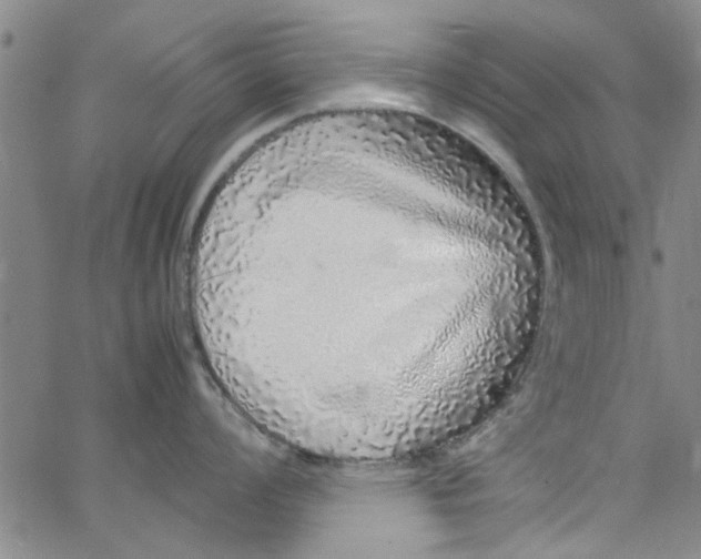 X0000062801008200601121335