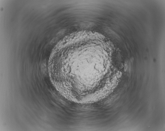 X0000062801011200601121335