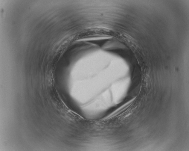 X0000062801014200601121335