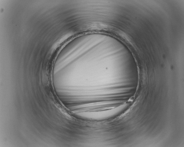 X0000062801018200601121335