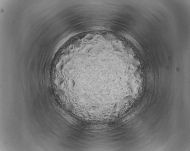 X0000062801023200601121335