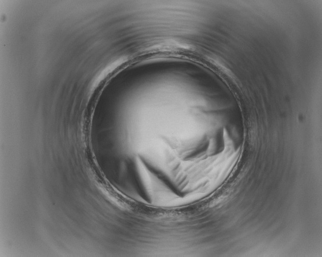 X0000062801026200601121335