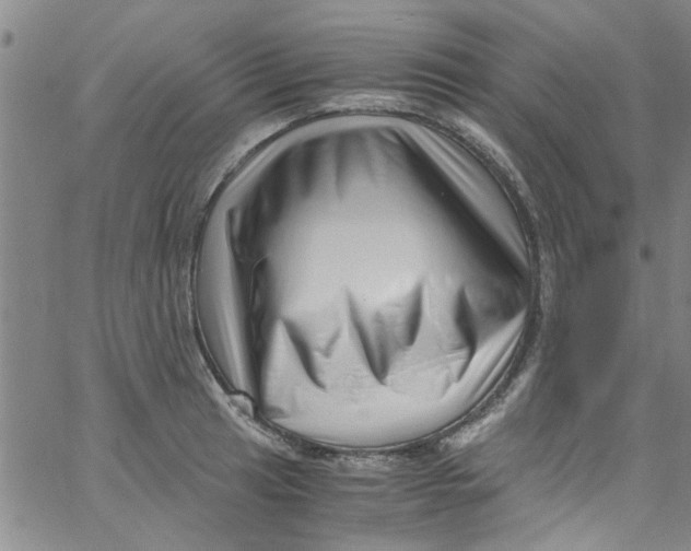 X0000062801041200601121335