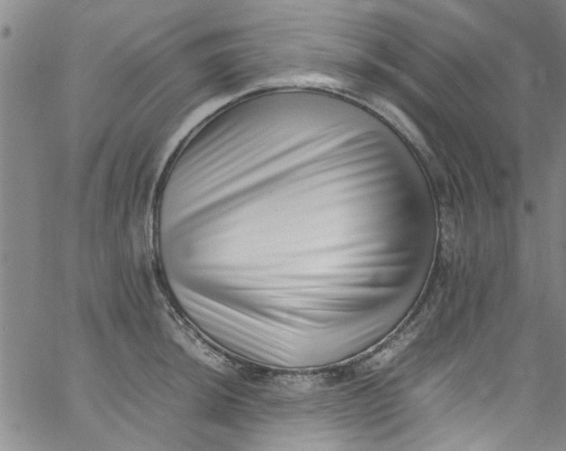 X0000062801044200601121335