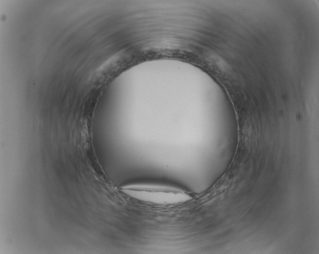 X0000062801062200601121334