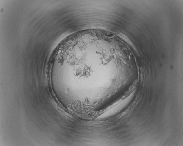 X0000062801068200601121334