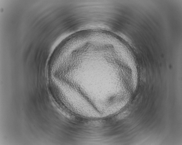 X0000062801078200601121334