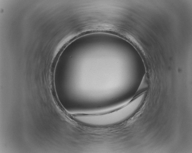 X0000062801085200601121334