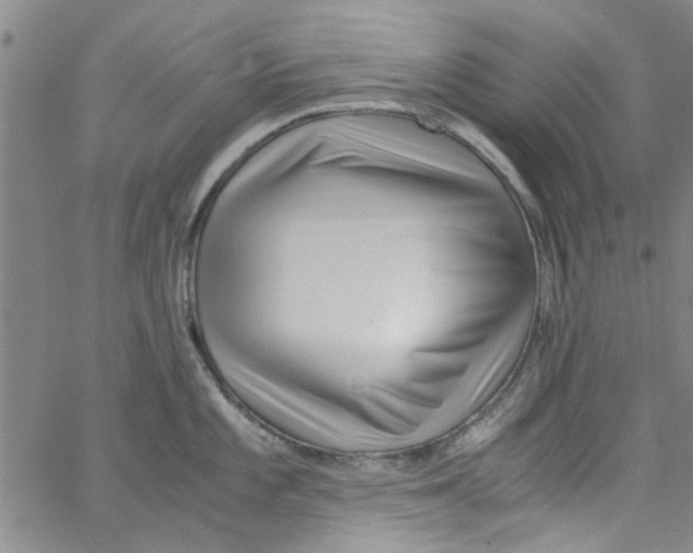 X0000062801101200601121334