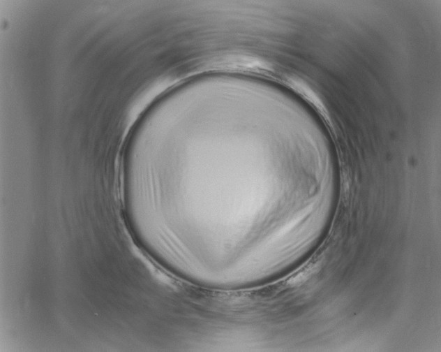 X0000062801103200601121334