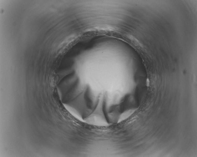 X0000062801110200601121333