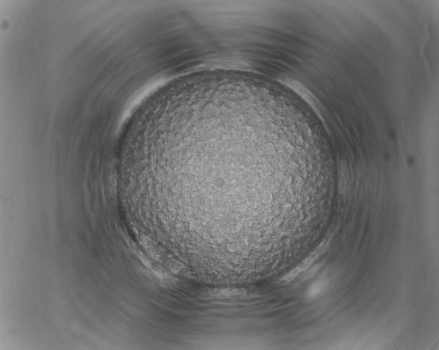 X0000062801115200601121333
