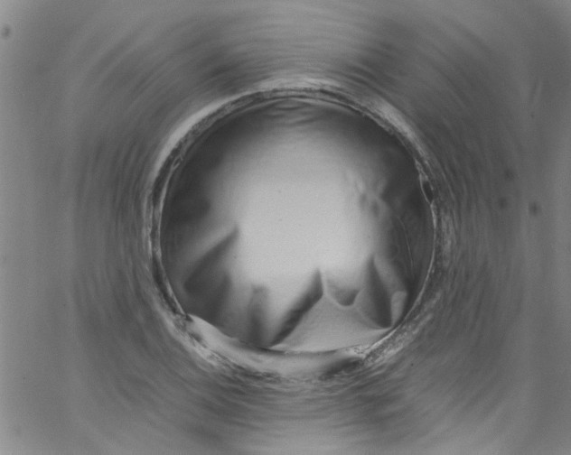 X0000062801124200601121333