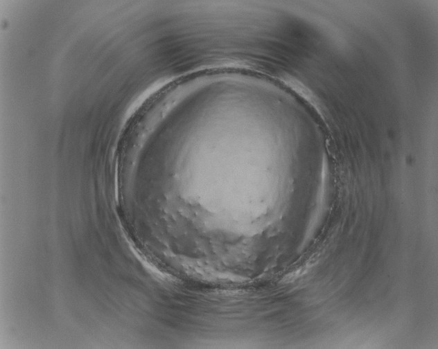 X0000062801127200601121333