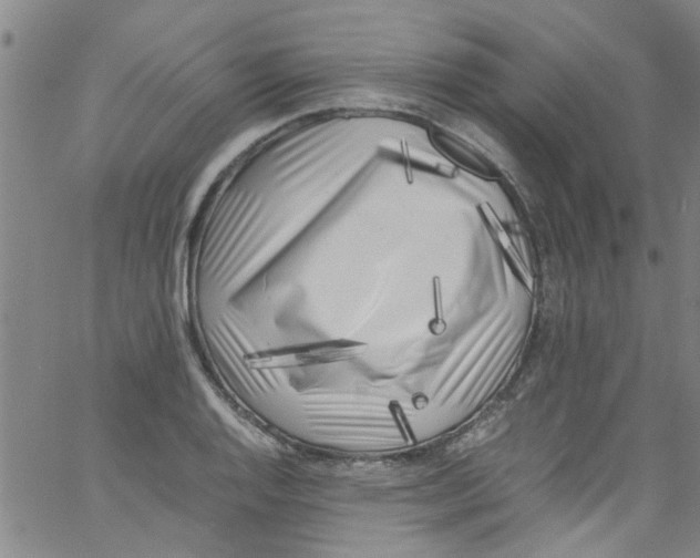 X0000062801128200601121333