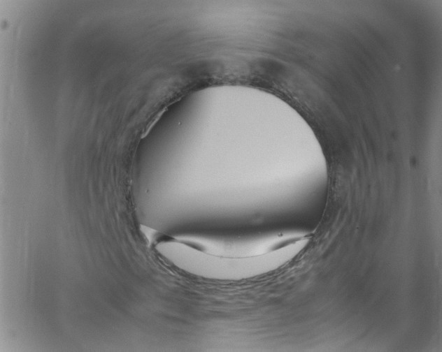 X0000062801153200601121333