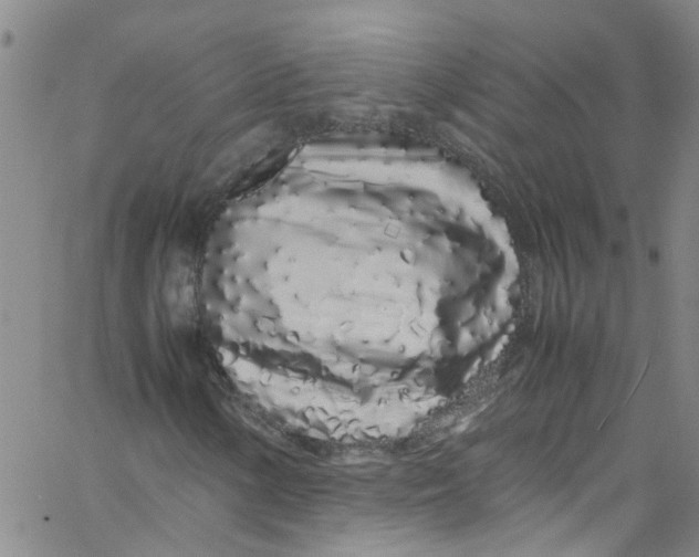 X0000062801154200601121333