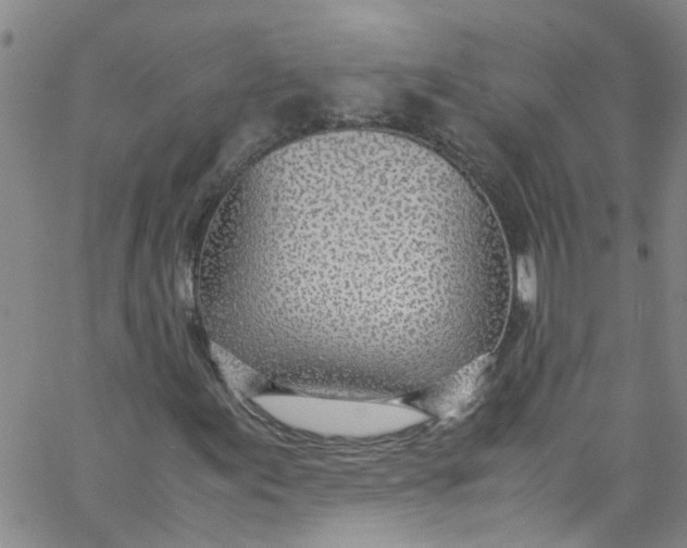 X0000062801155200601121333