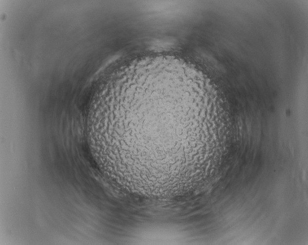 X0000062801158200601121333