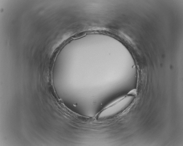 X0000062801165200601121333