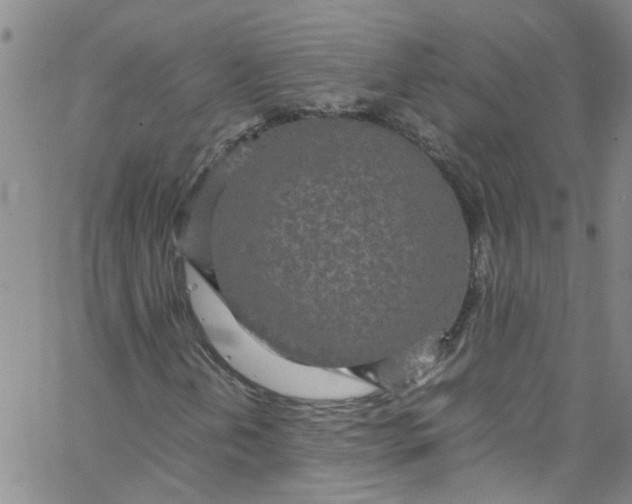 X0000062801202200601121331