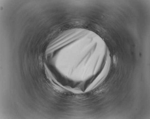 X0000062801203200601121331