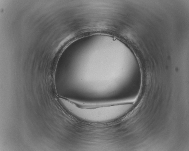 X0000062801210200601121331