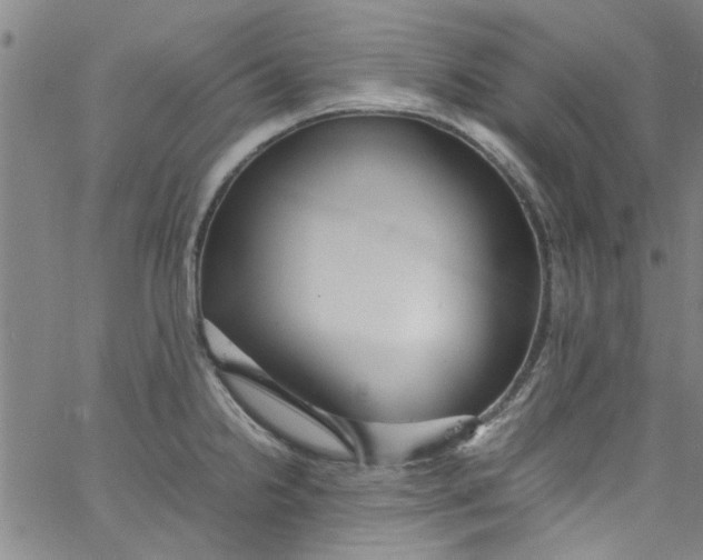 X0000062801238200601121332