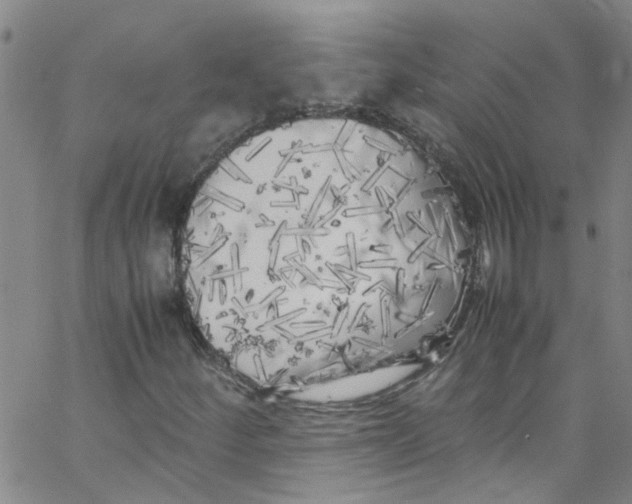 X0000062801252200601121331