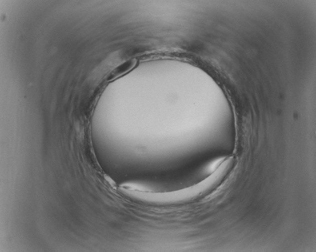 X0000062801257200601121331