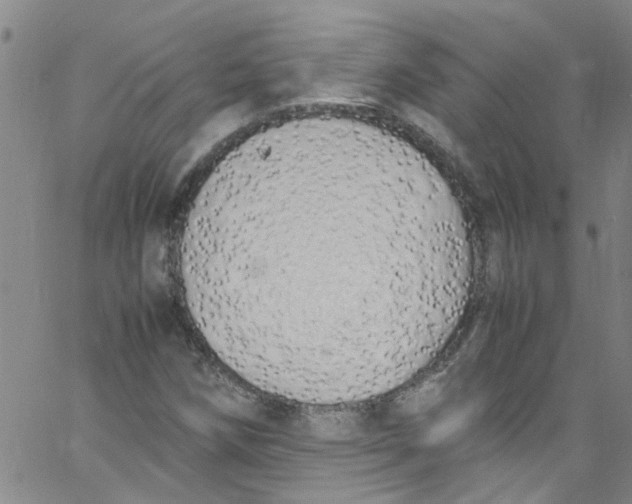 X0000062801258200601121331
