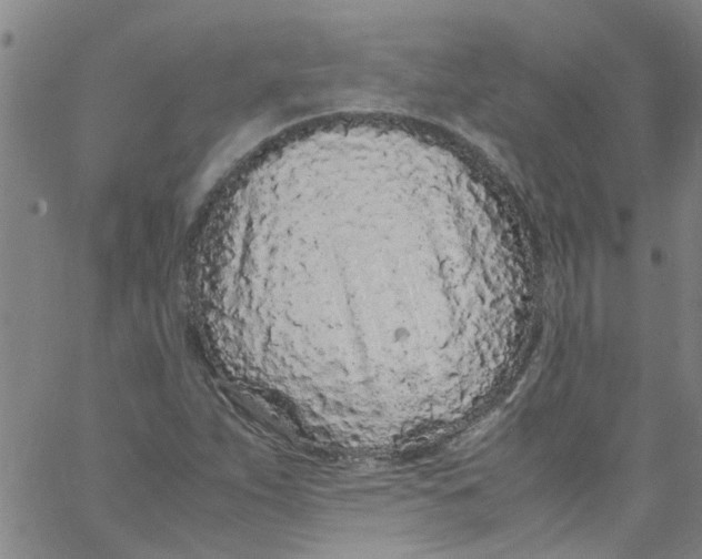 X0000062801263200601121331
