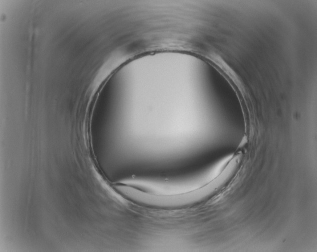 X0000062801293200601121331