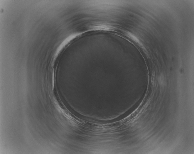 X0000062801323200601121330