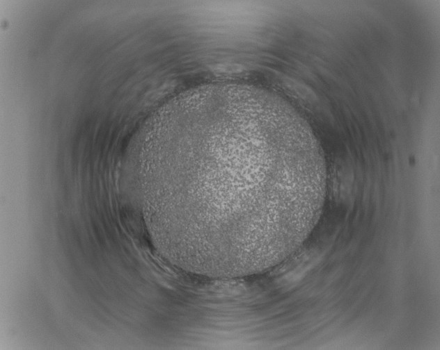 X0000062801346200601121330