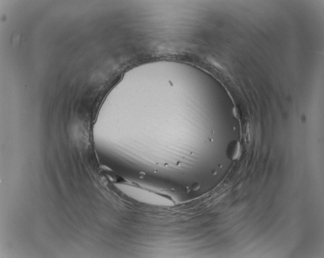 X0000062801348200601121330
