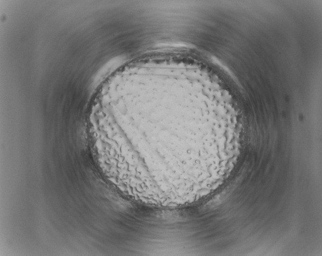 X0000062801362200601121329