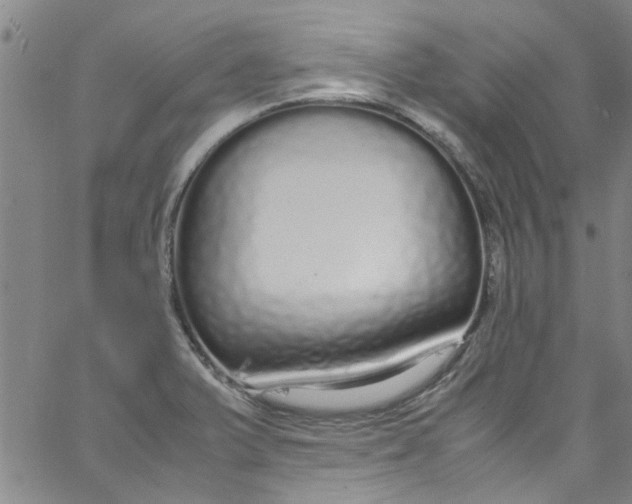 X0000062801375200601121329