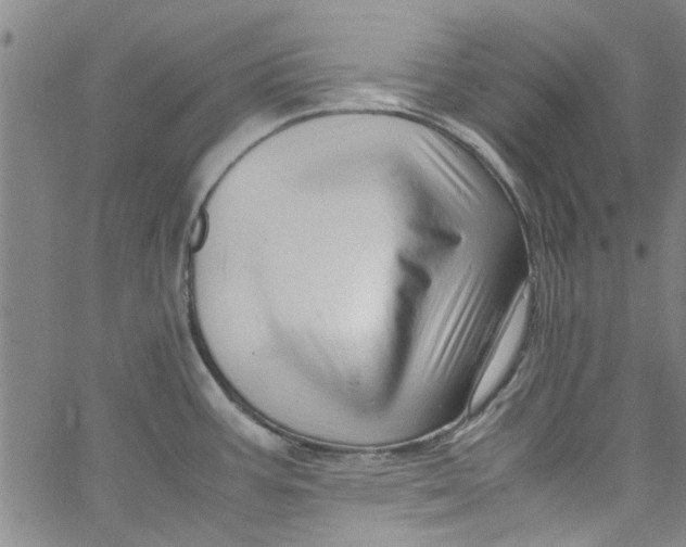 X0000062801387200601121329