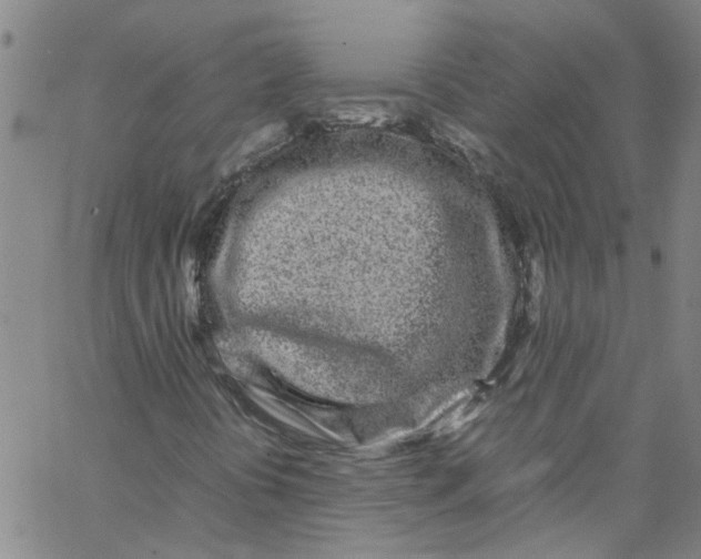 X0000062801394200601121328
