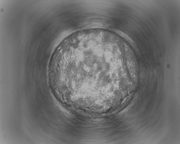 X0000062801423200601121329