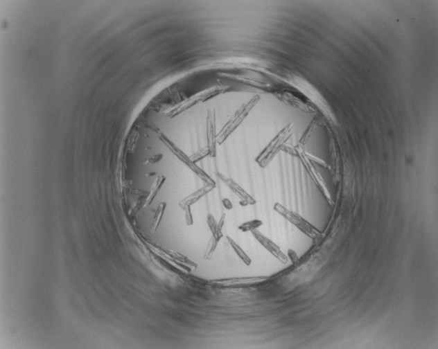 X0000062801436200601121329