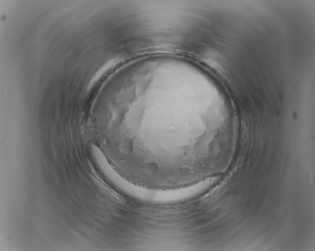 X0000062801450200601121328