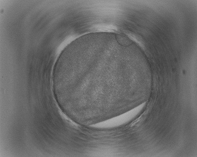 X0000062801471200601121328