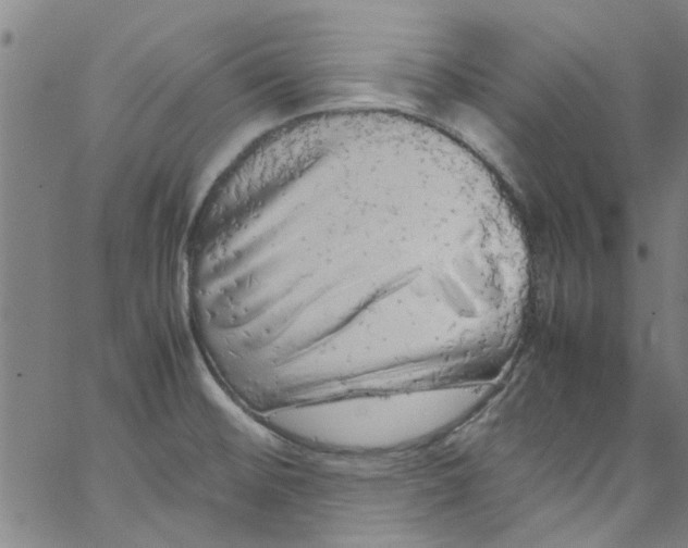 X0000062801476200601121327