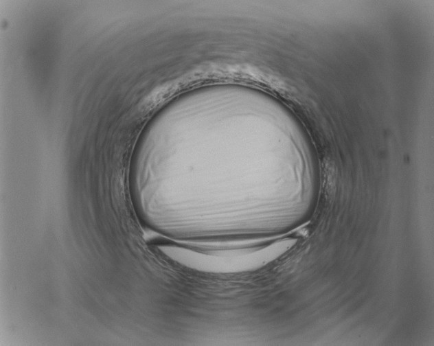 X0000062801489200601121326