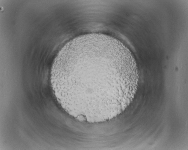 X0000062800018200601192000