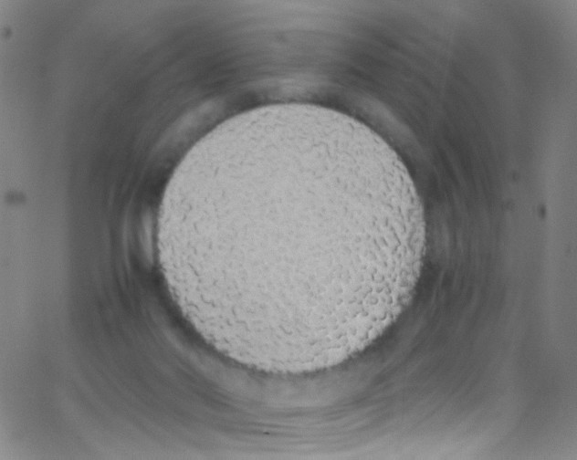 X0000062800022200601192000