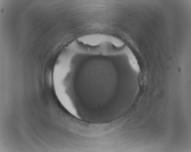 X0000062800027200601192000